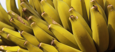 Banana Orgânica — O que que a banana tem?