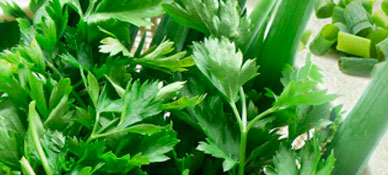 Cheiro Verde Orgânico – o casadinho da horta!